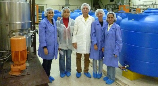 bioplastificante hormigon microorganismos 002