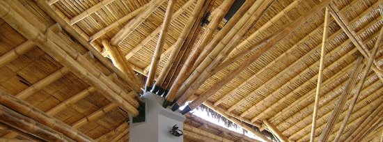 bambu ecomateriales 002