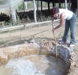 Arq. Dania Betancourt